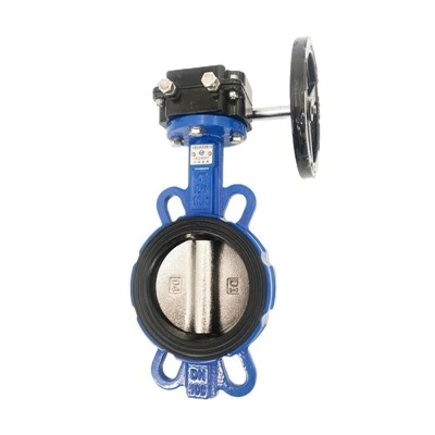 Butterfly Valve with Gear